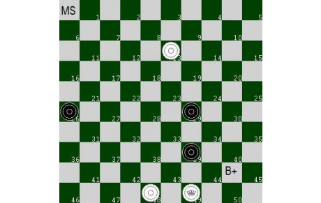 Jeu de Dames : Les Jeux de l’été du Damier Club de Sens : 002
