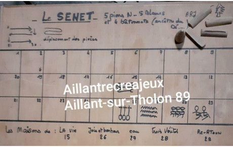 Jeux de pions : histoire de jeux anciens