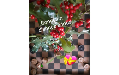 Jeu de Dames : Les blancs jouent et gagnent… bonne fin d'année à tous